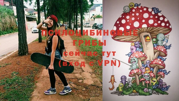 мдпв Куйбышев