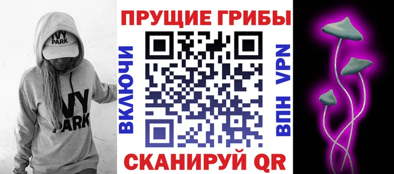 Псилоцибиновые грибы Psilocybine cubensis  Купить где  Лысьва 