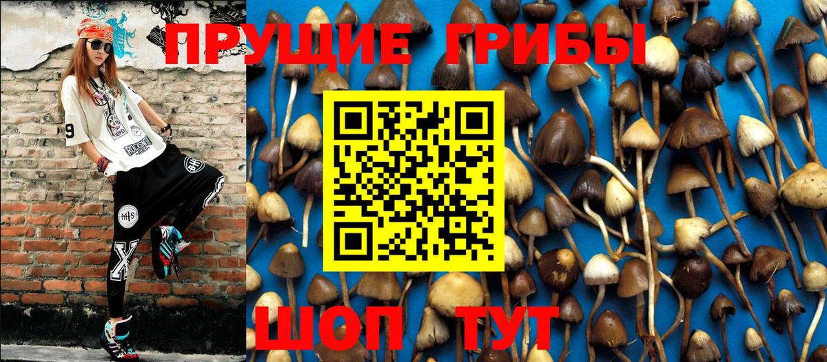 Псилоцибиновые грибы GOLDEN TEACHER Лысьва