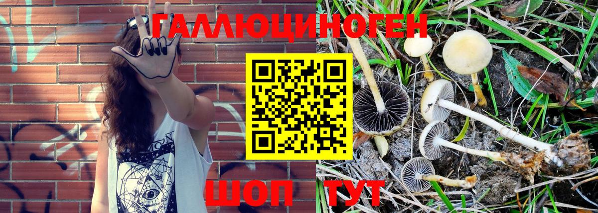 купить наркотики сайты  Лысьва  Галлюциногенные грибы Magic Shrooms 