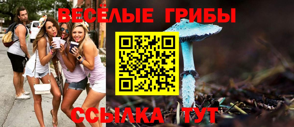 Псилоцибиновые грибы GOLDEN TEACHER Лысьва